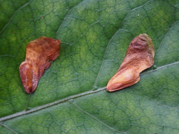 P1014690