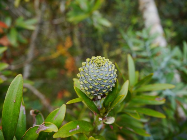 P1040374
