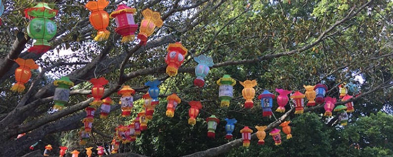 lantern festival featured image